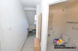 Mieszkanie w centrum do wynajęcia